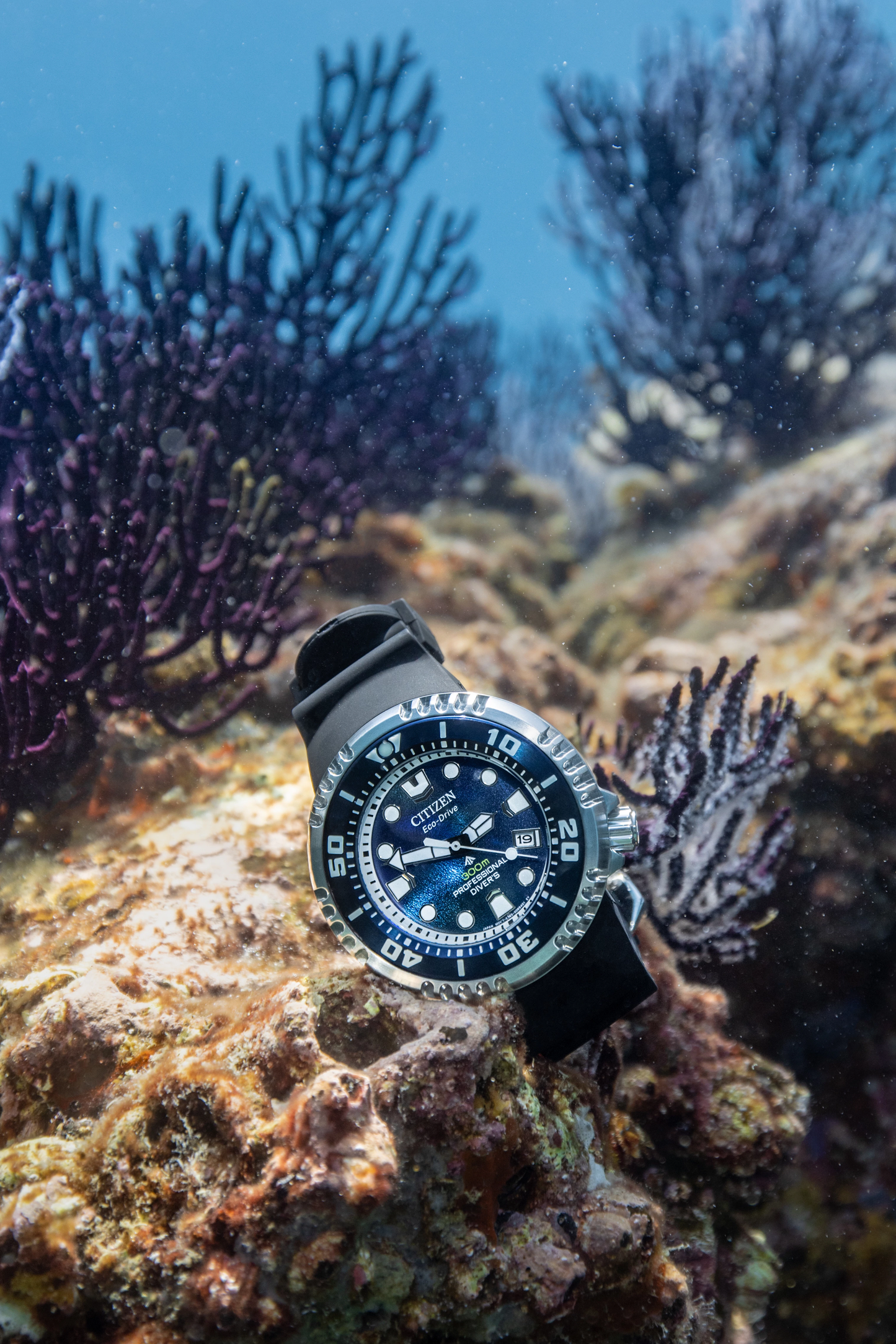 Reloj Citizen Promaster Dive Ed. Especial azul
