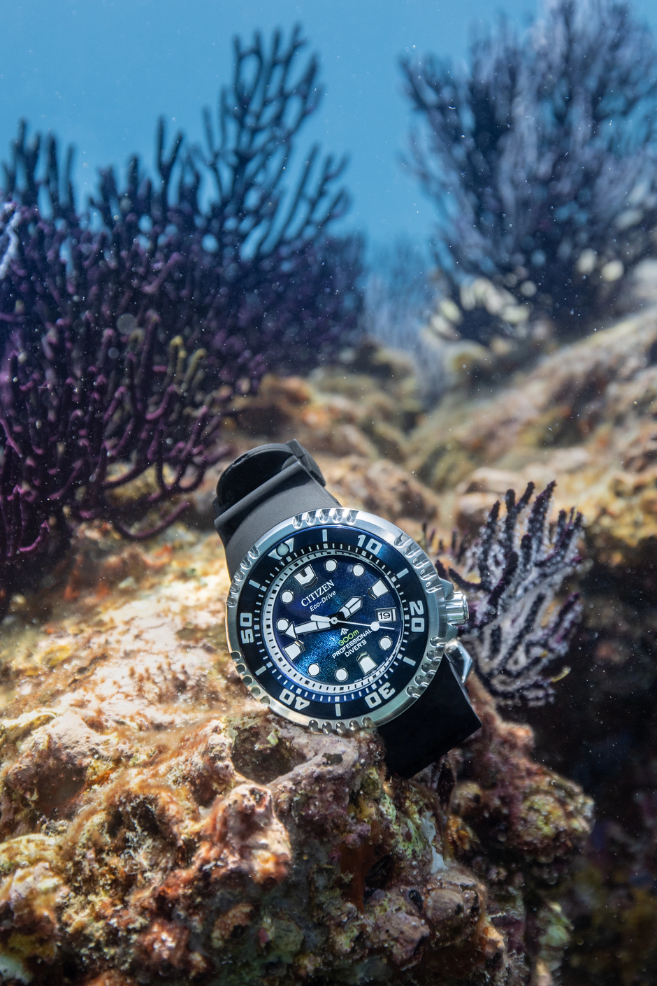 Reloj Citizen Promaster Dive azul Ed. Limitada