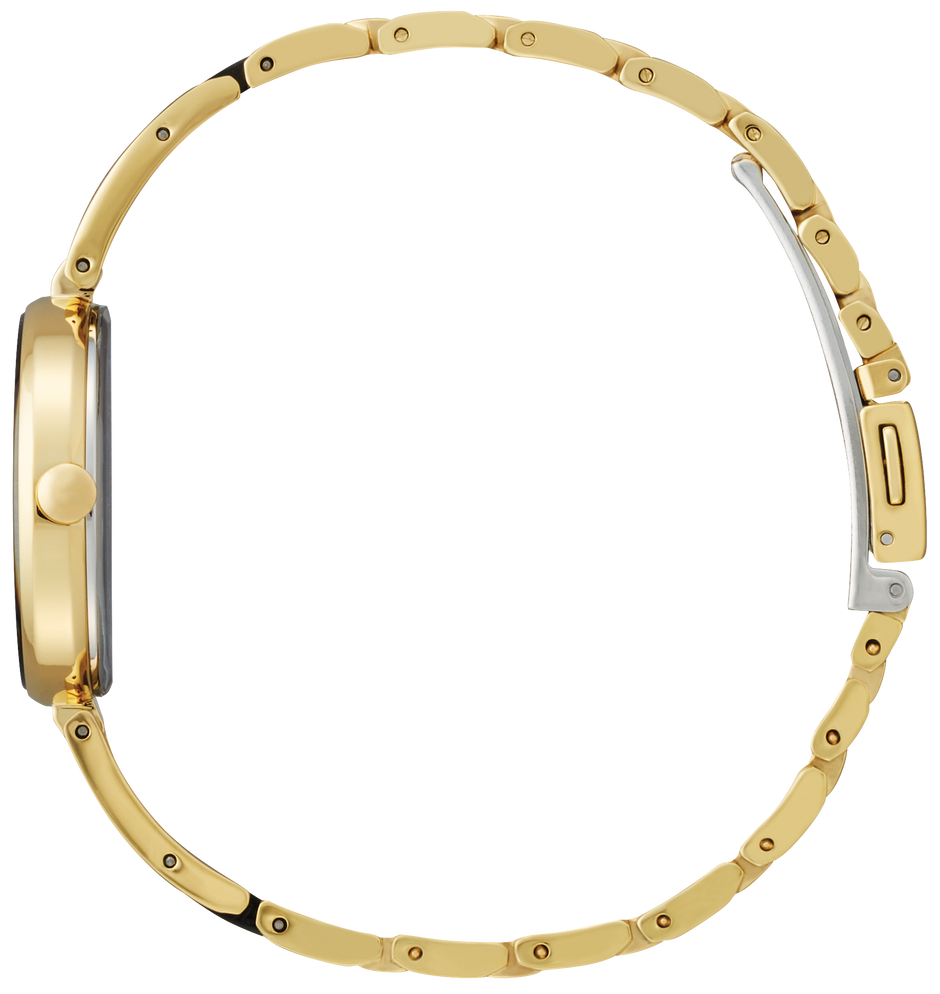 Reloj Citizen Axiom negro y dorado