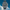 Reloj Citizen Promaster Skyhawk A-T Blue Angels