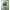 Reloj Citizen Tsuyosa 60 Verde